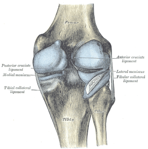 knee joint pain